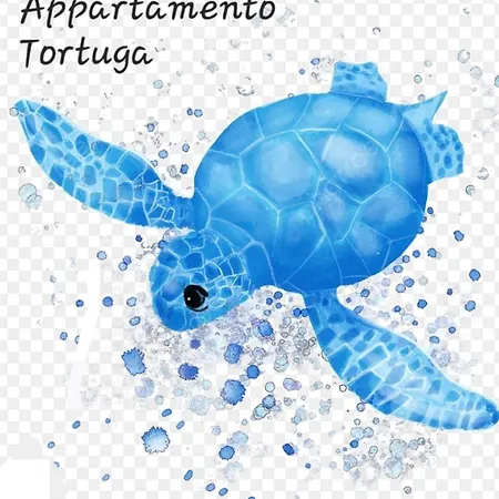 Appartamento Tortuga *