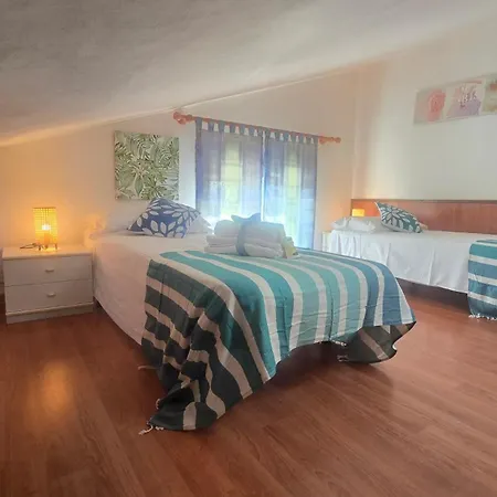 Tortuga Lignano Sabbiadoro