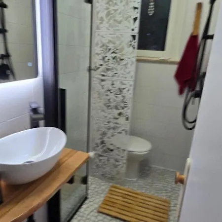 Tortuga Lignano Sabbiadoro