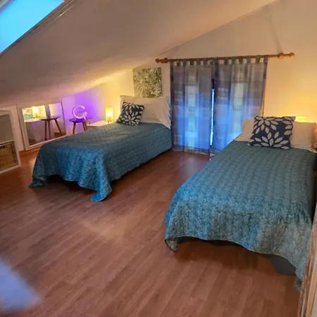 Tortuga Lignano Sabbiadoro